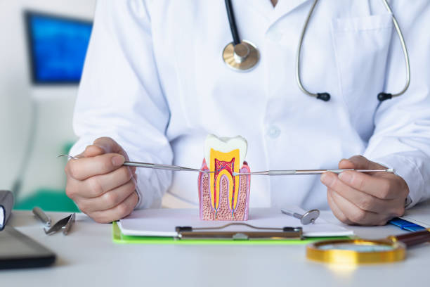 Best Emergency Orthodontic Repairs in Rouse, CA